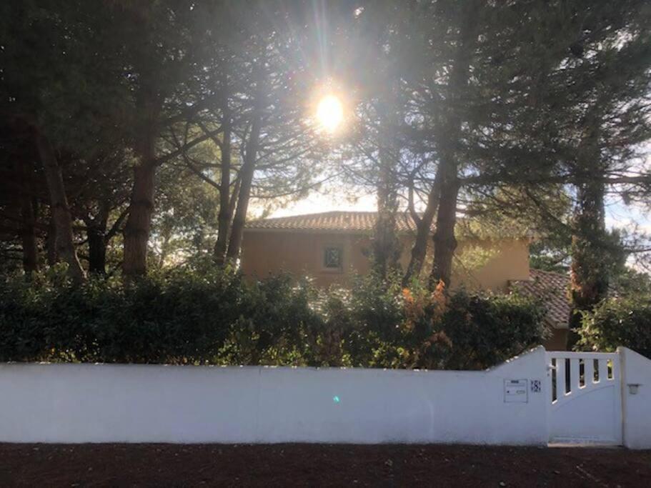Villa Arethuse - Pyla Sur Mer Exteriér fotografie