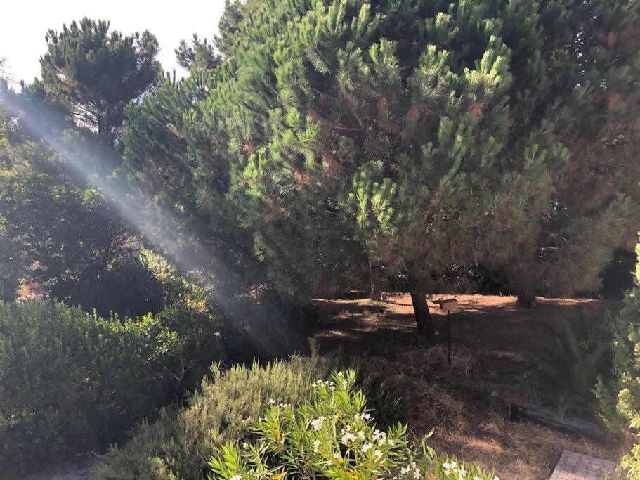 Villa Arethuse - Pyla Sur Mer Exteriér fotografie